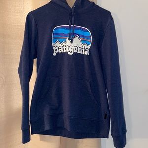Patagonia hoodie